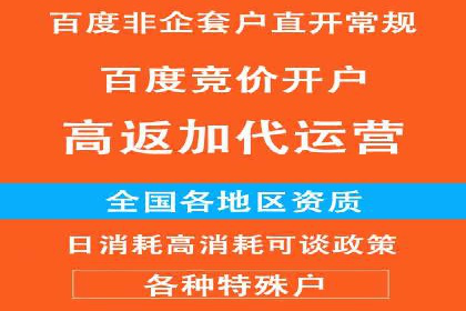 百度竞价广告投放策略及成功盈利案例